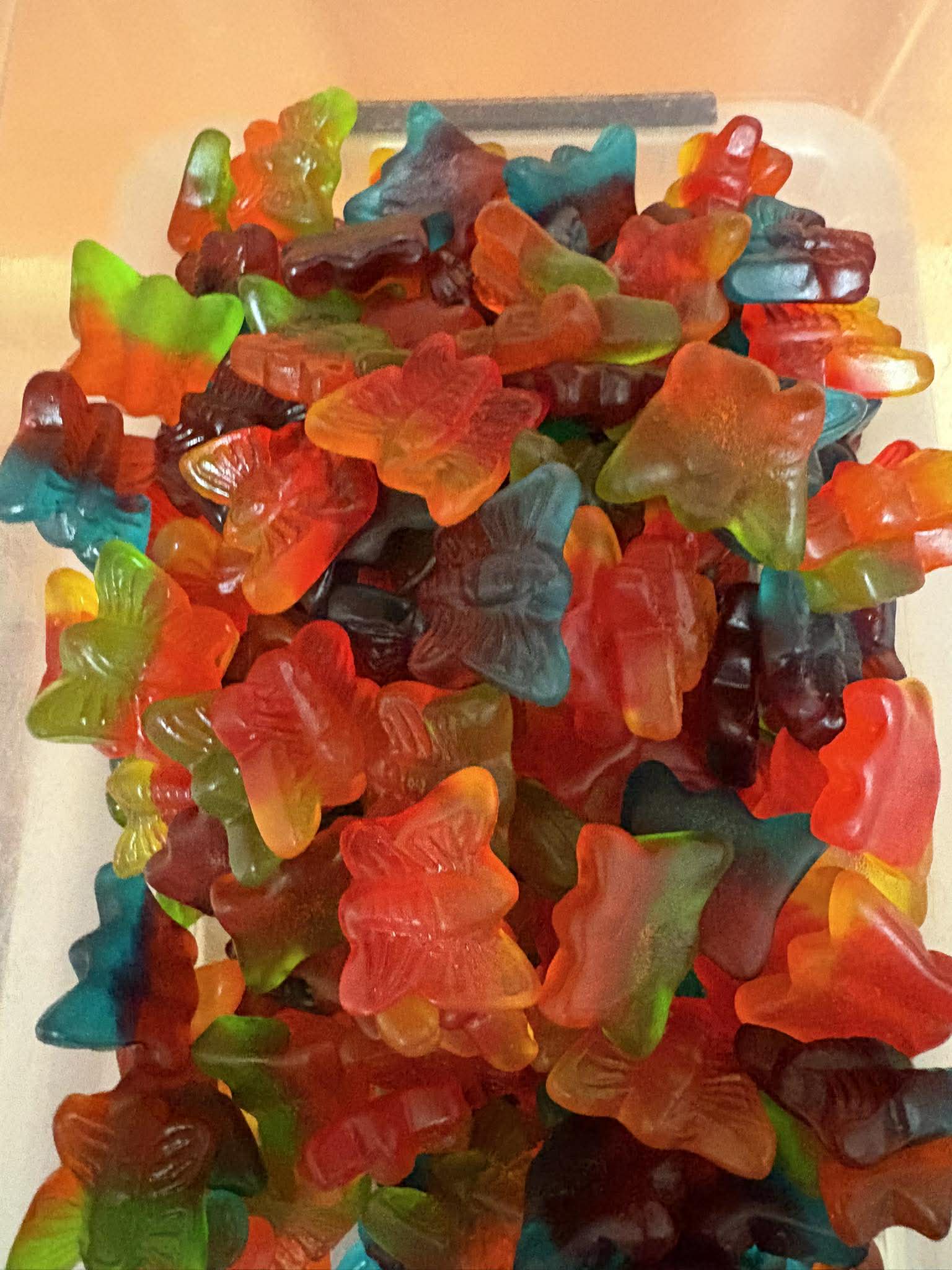Papillon - 100g