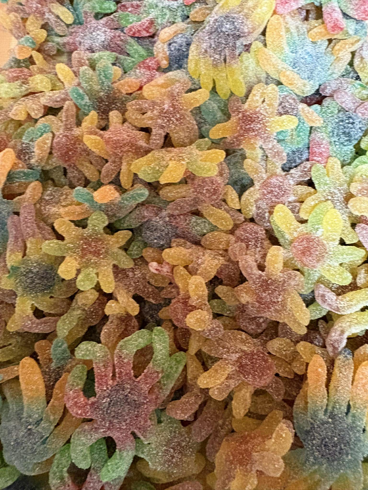 Octopus Sucré - 100g