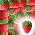 Fraise Plate Lisse - 100g